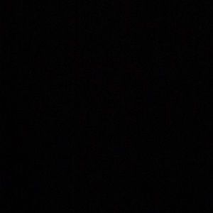 Meet your Posher, Leila